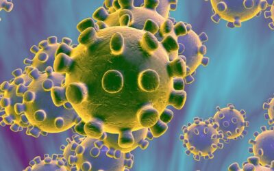 ¿Qué es el coronavirus?